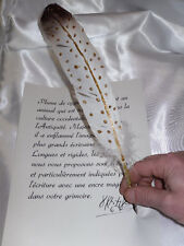 PLUME DE CYGNE INDIENNE