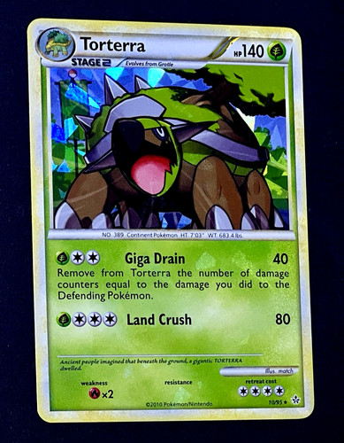 2010 pokemon torterra - 2010,