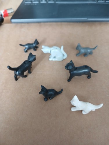 Lot chats 4chatons - chats,