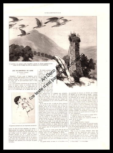 1926 les palombières - 1926,
