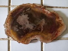 TRANCHE BOIS SILICIFIÉ