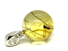 PENDENTIF AMBRE INSECTE rond