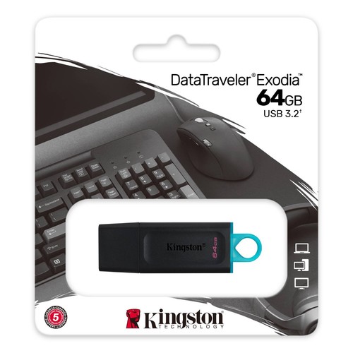 Clé usb kingston - kingston, go