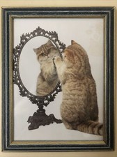 Cadre Sous Verre Chat Bois Gris Liserets Dorés 27,5cm X 21,7cm