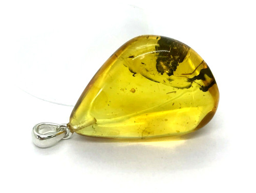 Pendentif ambre avec - pendentif, insecte