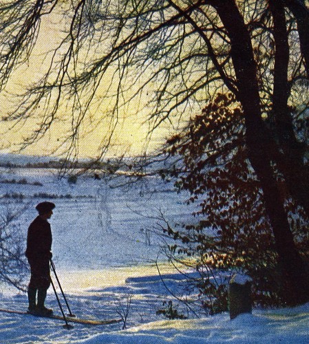 Winter swabian jura old - winter,
