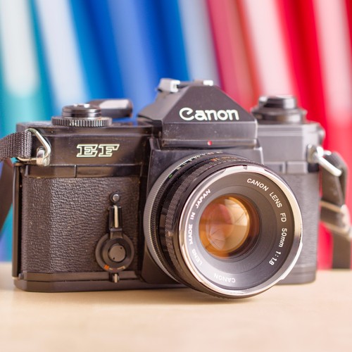 Canon 50mm f - canon, f/1.8