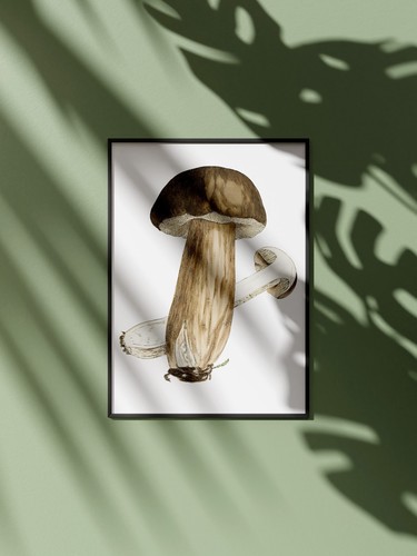 Affiche champignons vintage - affiche,
