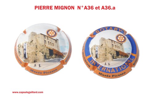 Capsules champagne pierre - capsules,