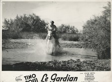 Photo originale Le gardian