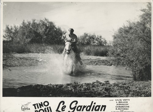 Photo originale gardian - photo, le