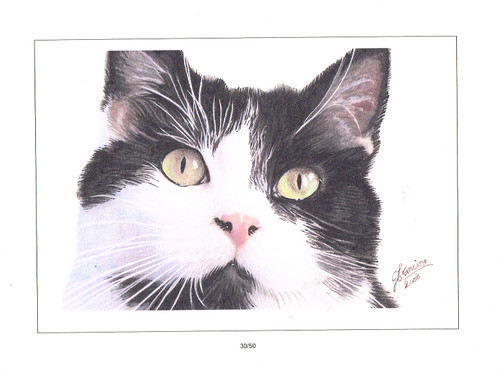 Reproduction aquarelle chat - , d'aquarelle