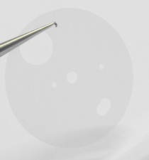 CALE DISQUE PROTECTION PLASTIQUE CADRAN MONTRE LIP R27