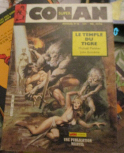 Super conan temple du - le,
