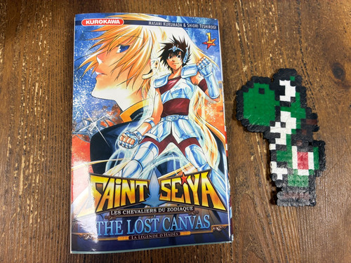 Saint seiya the - lost, canvas