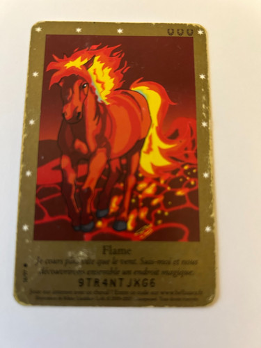 C83 carte bella sara - bella, flame