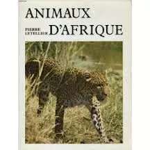 Animaux afrique pierre - d'afrique,,