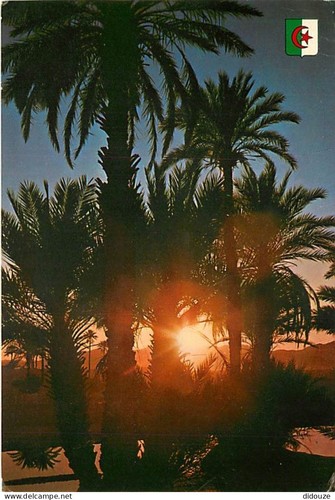 Carte postale algérie - -, sud