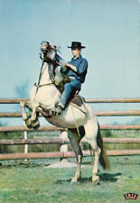 Carte postale postcard 10X15cm CAMARGUE gardian cheval capture dressage