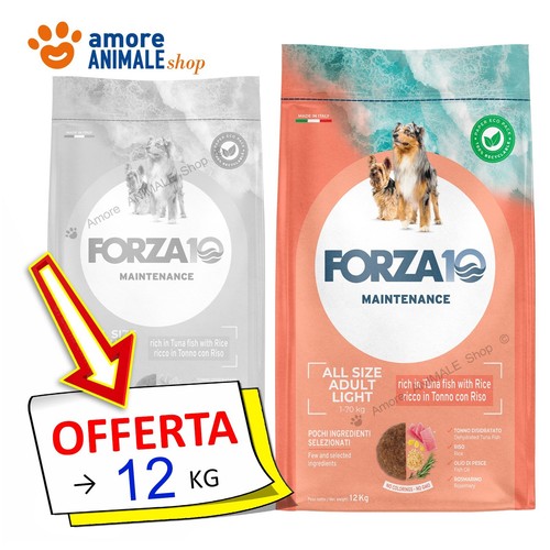 Forza10 entretien chien - entretien,
