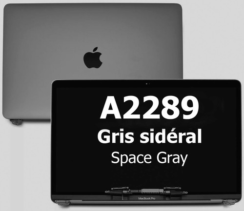 Ecran pour macbook pro - pro, a2289