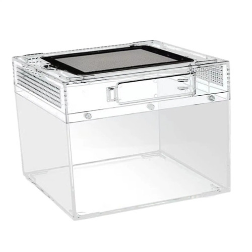 Reptile terrarium habitat - terrarium,