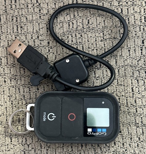 Gopro smart remote - gopro, control
