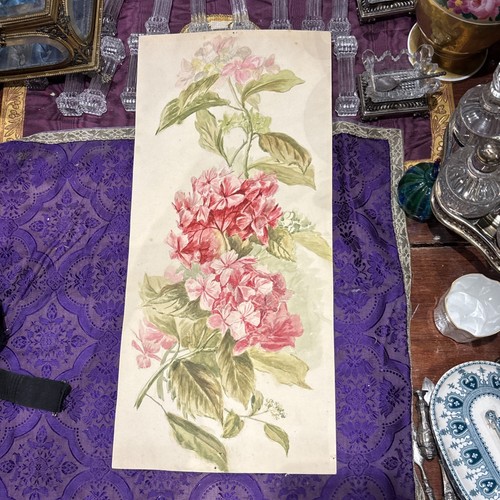 Bouquet fleurs géranium - ,