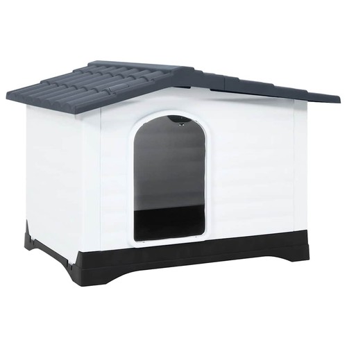 Niche pour chien bleu - chien,