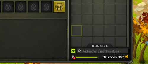 Dofus kamas sur imagiro - kamas,