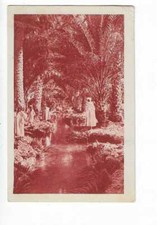 ALGERIE  TOLGA  RUISSEAU DANS