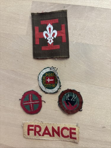Lot insignes écussons patchs