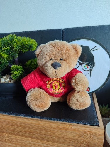 Peluche plush ours teddy bear - plush,