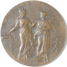 MEDAILLE DE TABLE EN BRONZE - COMICE AGRICOLE - 1902 - 5 cm - 60,7 g