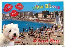 Animaux - Chiens - Bichon Maltais - Canet Plage - Femme sexy aux seins nus - CPM