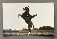CARTE PHOTO ANCIENNE CHEVAL Cavalerie militaire capitaine Dressage