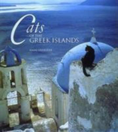 Chats des îles - chats, grecques