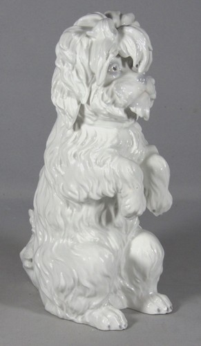 Chien bichon frisé statuette - chien, frisé,