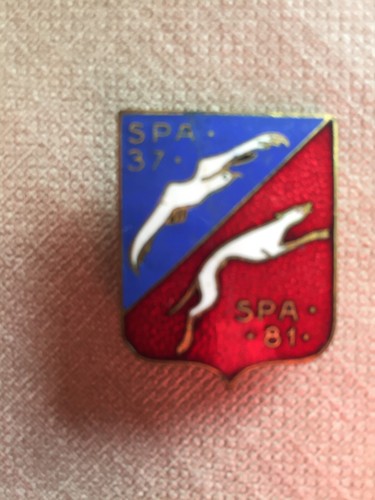 Insigne armee air escadron - insigne,