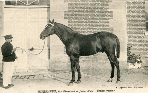 Carte hippisme cheval - carte,