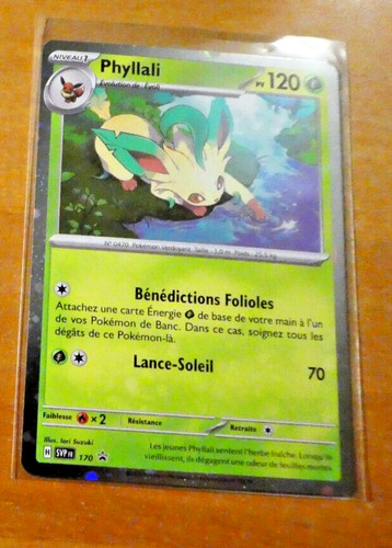 Pokemon evolutions - pokemon,