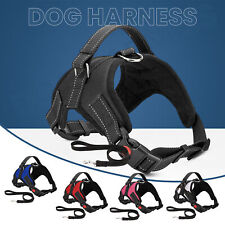 Harnais Pour Chien Ajustable Réfléchissant Rembourré De Sécurité Sans Traction