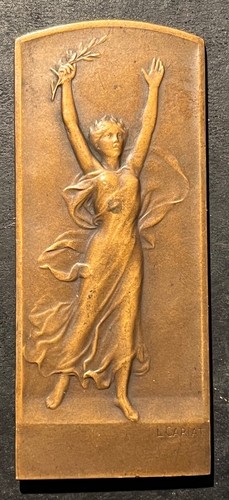 Médaille plaquette bronze - médaille,