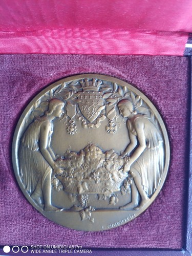 Léon margotin médaille de - margotin,