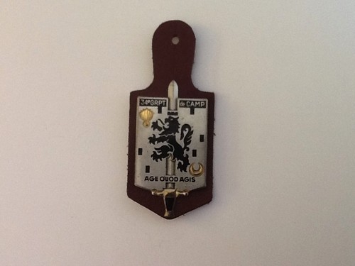 Insigne militaire 34 -  militaire, °