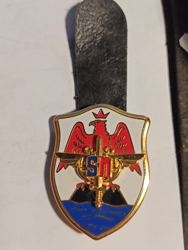 Pucelle insigne militaire s - pucelle,