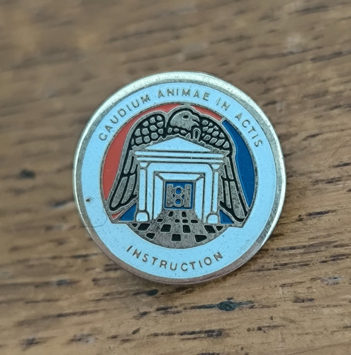 Insigne pin escadron - insigne,