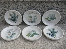 6 COUPELLES Porcelaine THOMAS Décor PLANTES 10 cm 