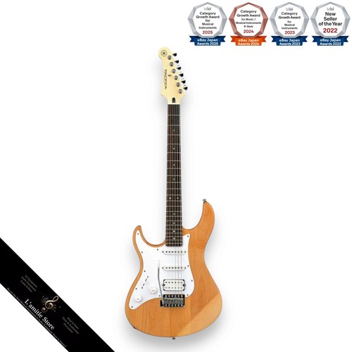 Guitare électrique gauche