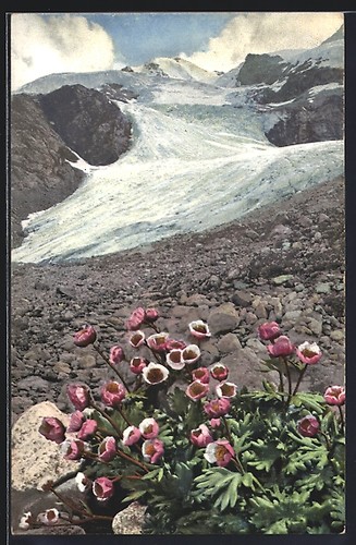 Photochromie 505 - photochromie,